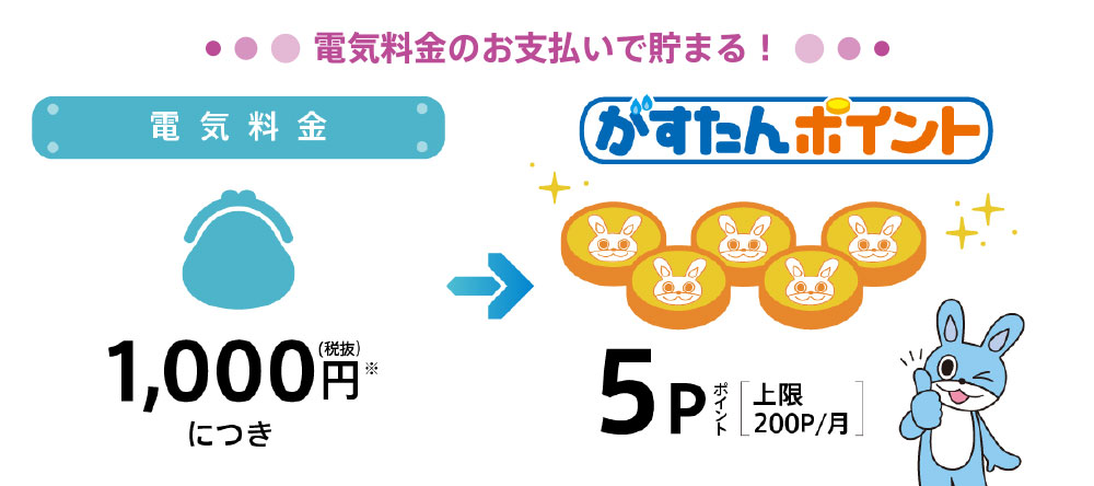 電気料金のお支払いで貯まる!