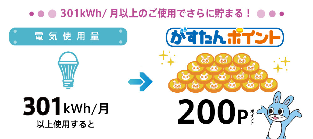 電気料金のお支払いで貯まる!