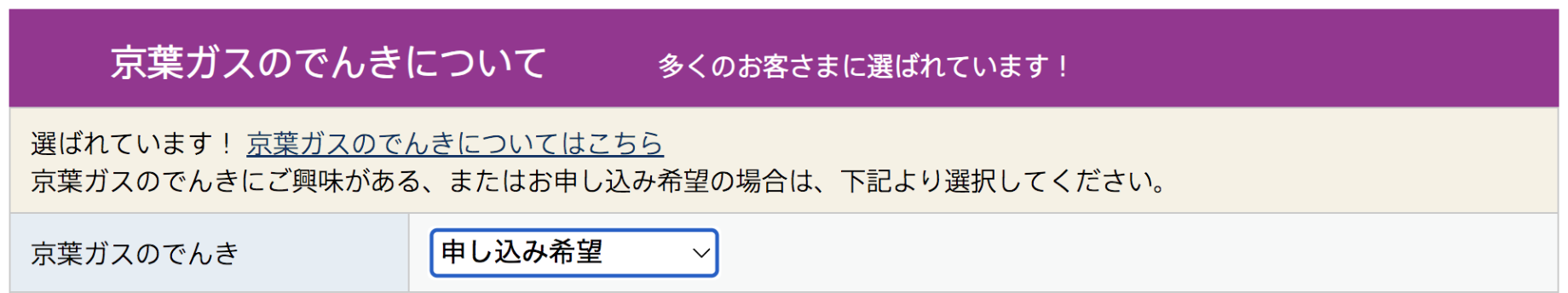 お申し込みフォーム内の「京葉ガスのでんきについて」の部分